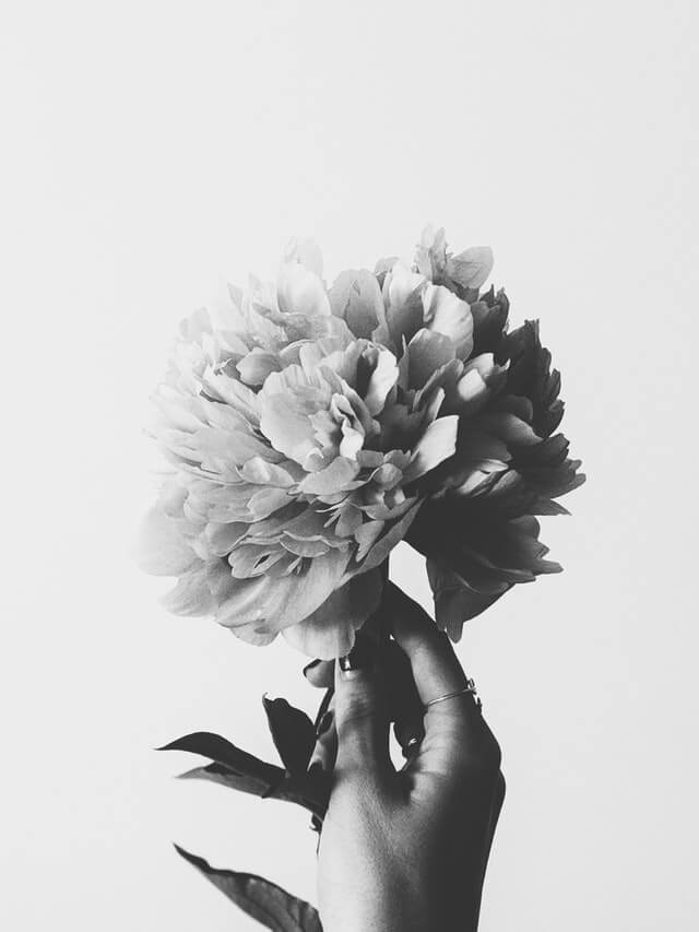 simplicity